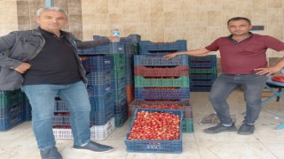 Selendide sezonun ilk kiraz pazarı kuruldu