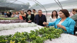 Selvi Kılıçdaroğlu Büyükşehirin bitki üretim tesisini gezdi
