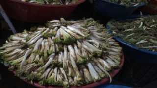 Şifalı otlar tezgâhlardaki yerini aldı