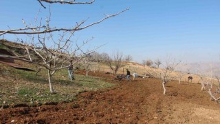 Siirt'te ÇKS başvuru süresi 8 Mayısta sona eriyor