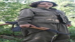 Siirtte PKK/KCK terör örgütü mensubu adına oy kullanan şahıs yakalandı