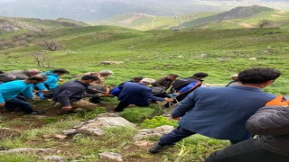 Siirtte yaban bitkisi toplarken kayalıklardan düşen 60 yaşındaki adam öldü