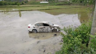 Sinopta otomobil çeltik tarlasına uçtu: 1 yaralı