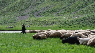 Şırnak yaylalarında kartpostallık fotoğraflar