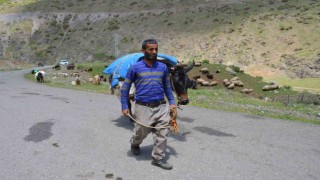Şırnakta göçerler yaylaya ulaştı