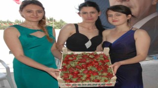 Sivaslıda 35. Çilek ve Kültür Festivali için geri sayım başladı