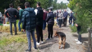 Sokak köpeği Messi cenazelere katılıyor