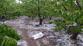 Suluovada sağanak ve dolu 4 köyde arazileri vurdu