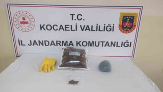 Şüphelinin evinde yapılan operasyonda bonzai ele geçirildi