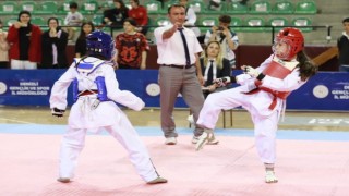 Taekwondonun yıldızları Denizlide buluştu