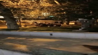 Taksimde dilencilerin para kavgası kamerada
