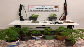 Tekirdağın 4 ilçesinde uyuşturucuya darbe: 6 gözaltı