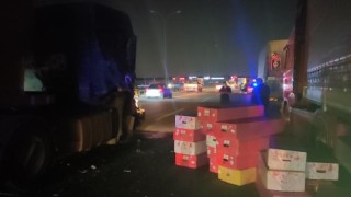 TEM Otoyolu Kocaeli geçişinde 7 araçlı zincirleme kaza