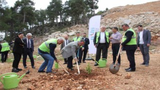 Terk edilmiş mermer ocağı rehabilite edilerek ağaçlandırıldı