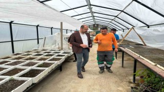 Tosya Belediyesi ilçeyi botanik bahçesine kavuşturacak