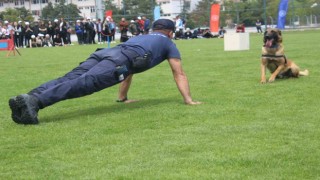 Tüm matematik sorularını cevaplayan Jandarma köpeği Rüzgar izleyenleri hayran bıraktı