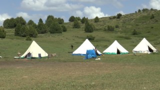 Tunceli Valiliğinden sürü sahipleri ve arıcılara duyuru