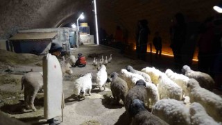 Türkiyenin ilk ve tek peynir müzesine yoğun ilgi