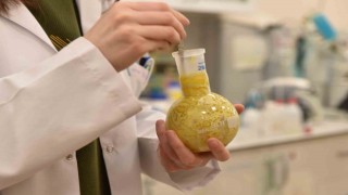 Üniversite laboratuvarlarında geliştirildi: Borlu gıda takviyeleri ile kemik erimesi önlenecek