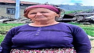 Üzüm bağında av tüfeğiyle öldürülen kadının komşusu tutuklandı