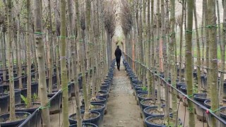 Uzunderede büyük yatırım