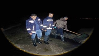 Vanda 2 ton inci kefali kurtarıldı