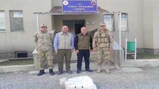 Vanda kafes avcılığı