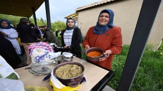 Vanda ‘Keledoş yarışması düzenlendi