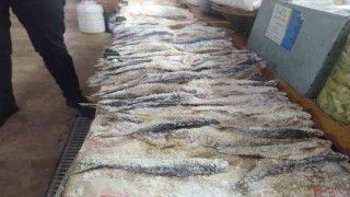 Vanın farklı lezzeti: Tuzlu balık