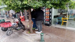 Yağmurdan korunmak için ağacın altına girdiler