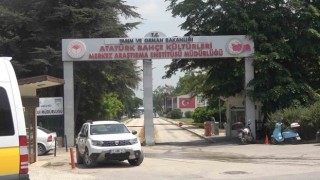 Yalova Atatürk Merkez Araştırma Enstitüsünde korkutan yangın