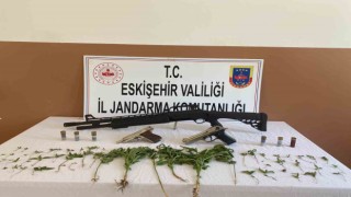 Yasa dışı esrar yetiştiren şahsın evine jandarmadan operasyon