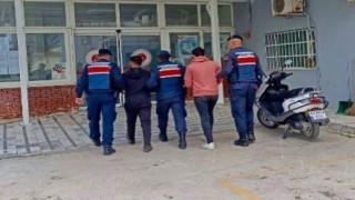 Yatağanda zeytinyağı hırsızları JASAT timi tarafından yakalandı