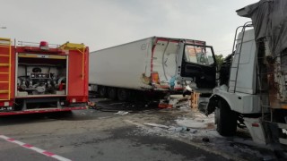 Yola çıkan yavru köpeği kurtarmak isterken canından oldu