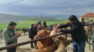 Yozgatta hayvan pazarları tedbir amacıyla kapatıldı