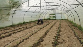 ZBEÜde ‘Kampüs Bostanı uygulaması hayata geçirildi