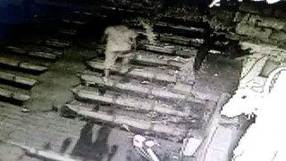 150 liralık alacak nedeniyle işlenen cinayetin görüntüleri ortaya çıktı