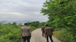 74 yaşındaki Kadir Fidanı arama çalışmaları sürüyor