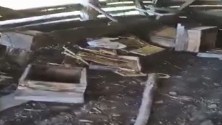 Aç kalan ayı arı kovanlarını parçaladı