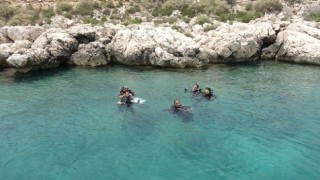 Akdeniz Boğsak Adası çevresinde zengin biyoçeşitliliği gözlendi