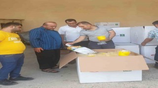 Akdeniz sineğine karşı çiftçilere tuzak dağıtıldı