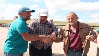 Alıcılar ve satıcılar kurban fiyatında anlaşamayınca sesler yükseldi, devreye aracılar girdi