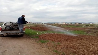 Altıeylülde ilaçlama çalışmaları aralıksız sürüyor