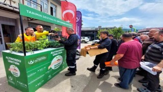 Altınorduda çiftçilere 452 bin adet fide desteği