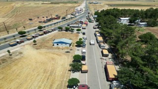 Ambarlar doldu, silolarda yer kalmayınca buğdaylar eski usülle saklanmaya başlandı