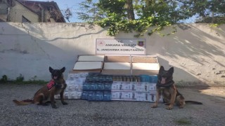 Ankara İl Jandarma Komutanlığı 825 bin liralık kaçak ürün ele geçirdi