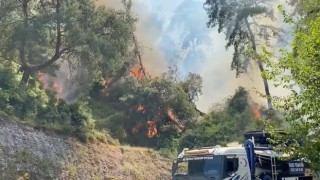 Antalyada konteyner yangını ormanlık alana sıçradı