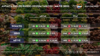 Antalyada sebze fiyatlarında yüzde 36,69 düşüş