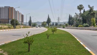 Antalyanın kurtuluş caddesi yemyeşil oldu