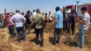 Araziye mercek düzeneği kurdular 50 dönümlük ekili tarla küle döndü